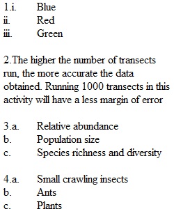 Lab 8 Document and Submission